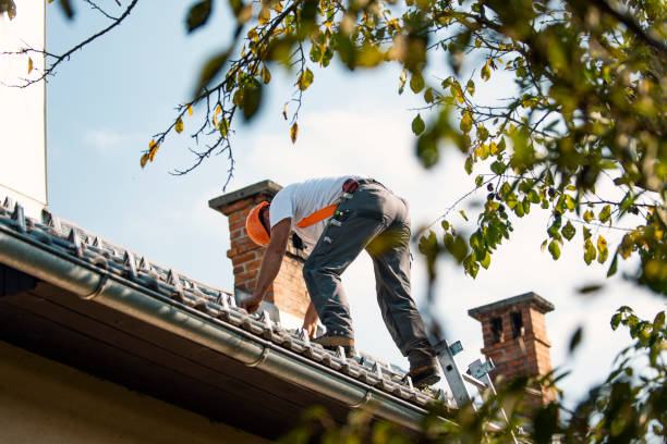 Best Roof Gutter Cleaning  in Laurel Hill, VA