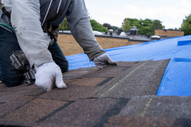 Best Roof Repair Services  in Laurel Hill, VA