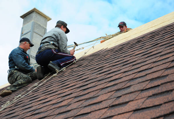 Best Roof Leak Repair  in Laurel Hill, VA